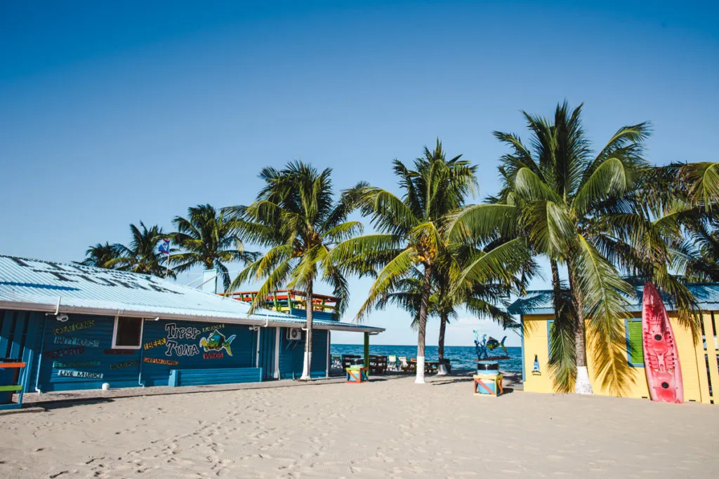 Tipsy Tuna Best bars and restaurants in Placencia Belize