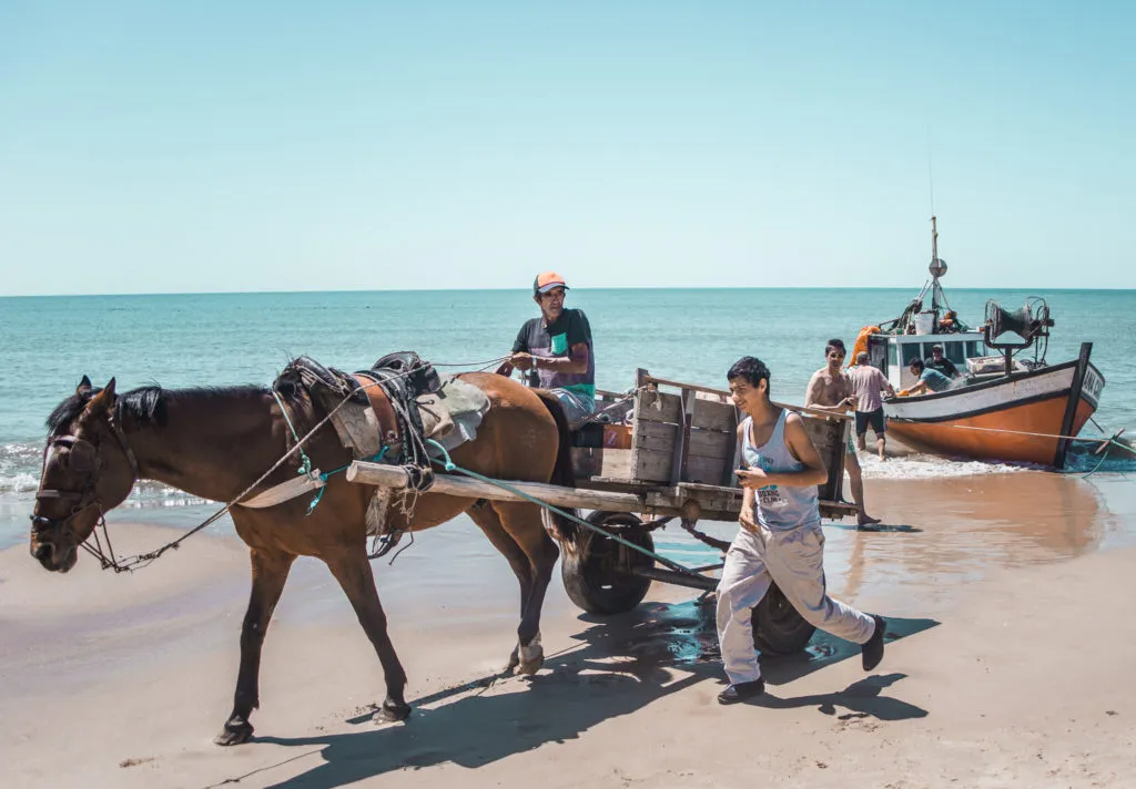 Fishermen using horse and cart on Beach in Punta del Diablo uruguay where to stay | South America travel guides