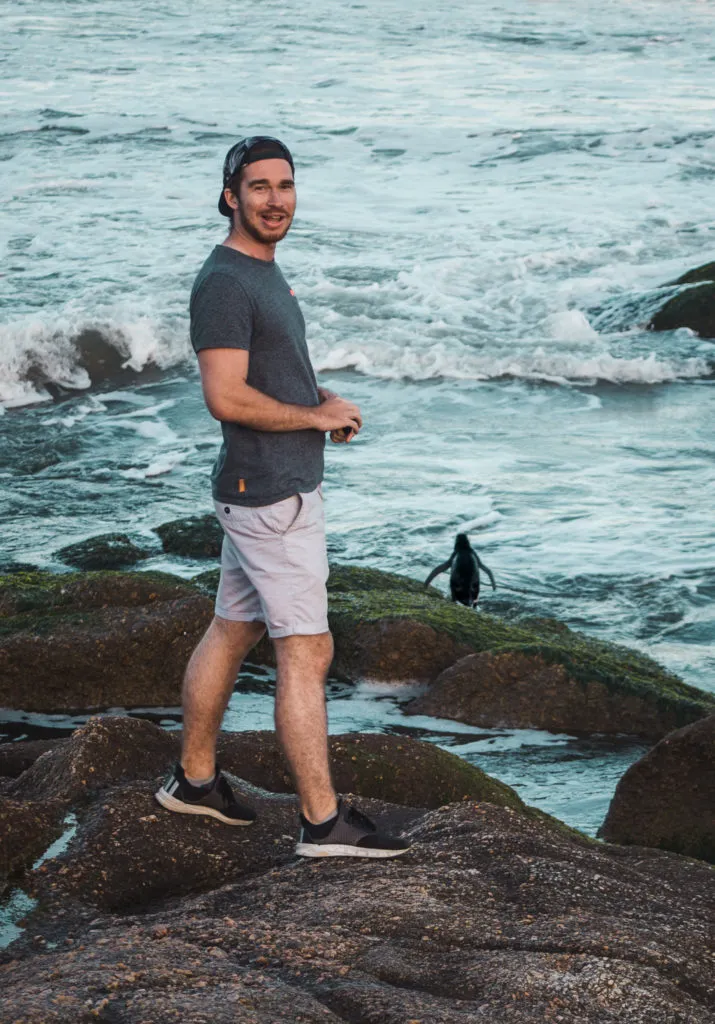 Wild penguin in Punta del Diablo uruguay where to stay | South America travel guides