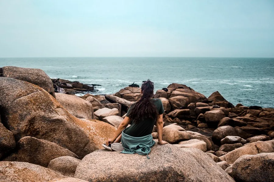 sea lions colony cabo polonio uruguay