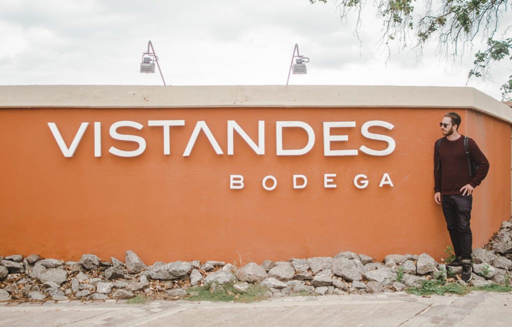 wine tours around Mendoz Vistandes bodega argentina