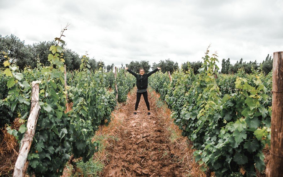 Mendoza, the vineyard capital of Argentina nestled in the Andes
