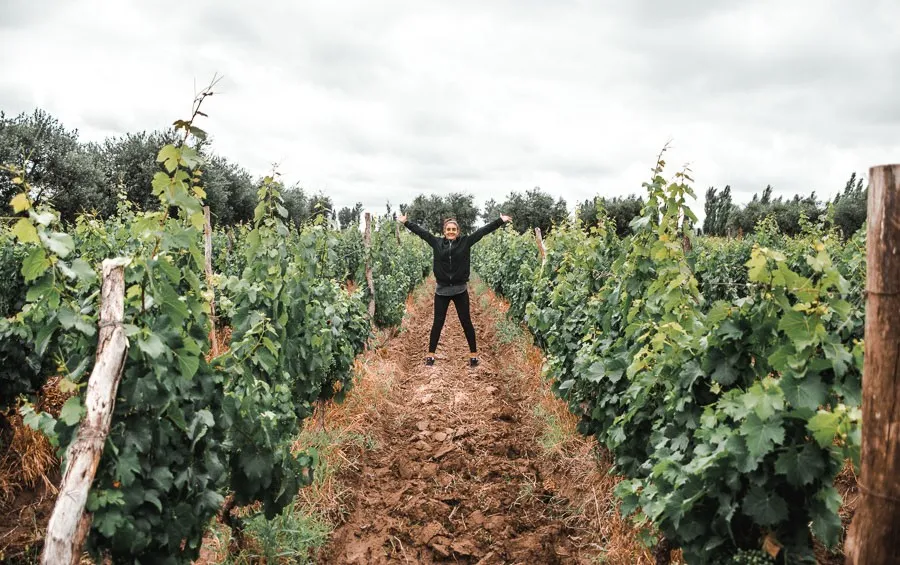 Mendoza, the vineyard capital of Argentina nestled in the Andes
