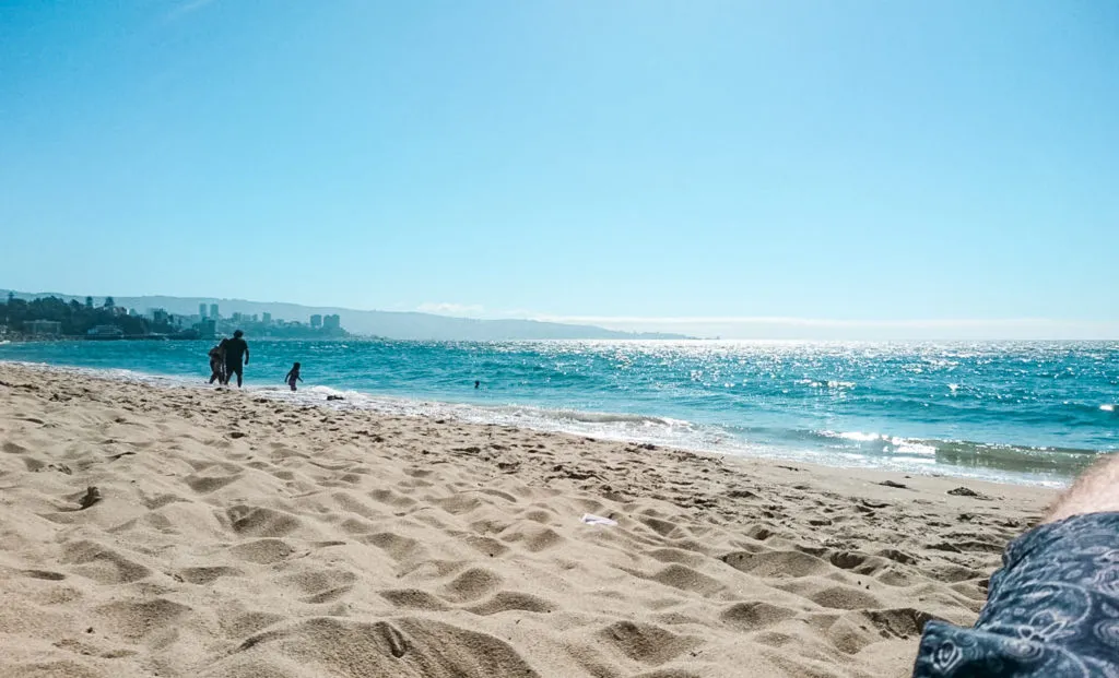 Beach Vina del Mar things to do in Valparaiso Chile