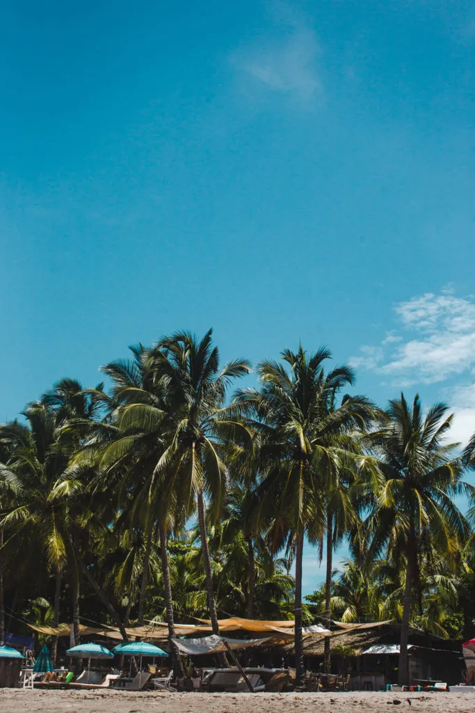 Costa Rica Samara palm trees which country to visit in Latin America