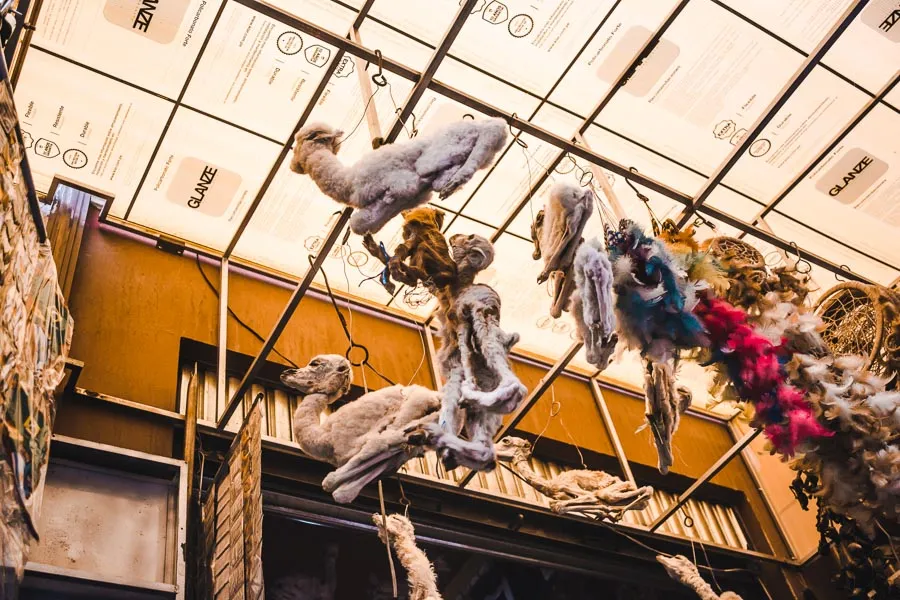 what to do in la paz bolivia witches market