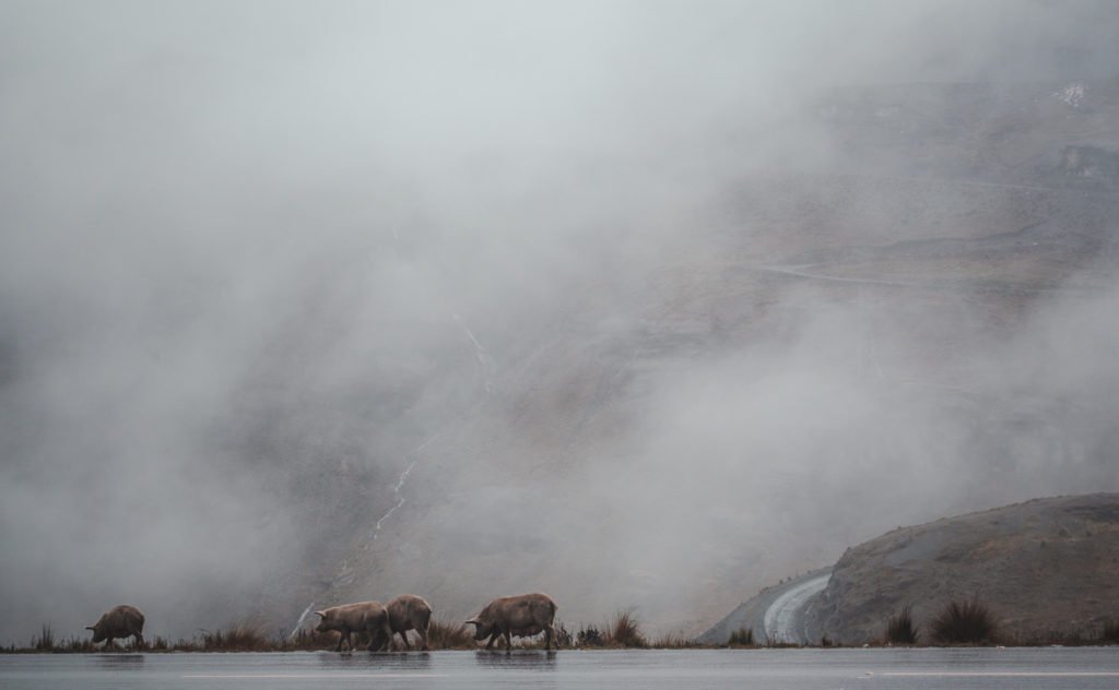 insfrastructure roads backpacking in bolivia travel guide torotoro travel photography bus development indigenous before you go to bolivia