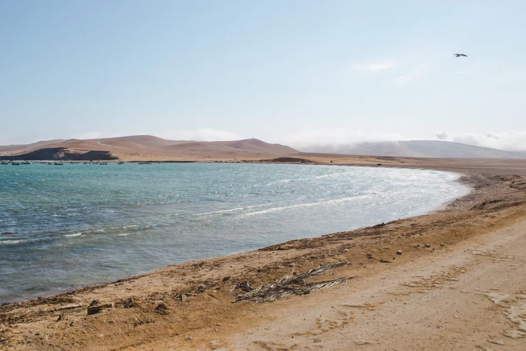 cycling the desert to the red beach of paracas national park, peru