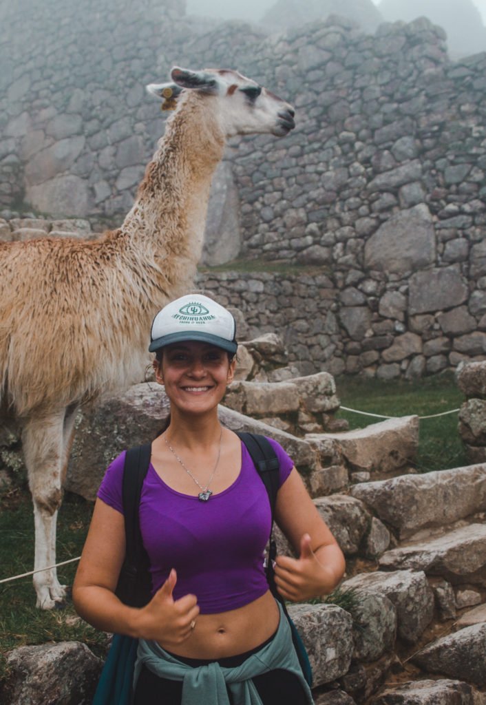 llama flame machu picchu tourist tourism peru alpaca travel guide spanish mistakes tips south america