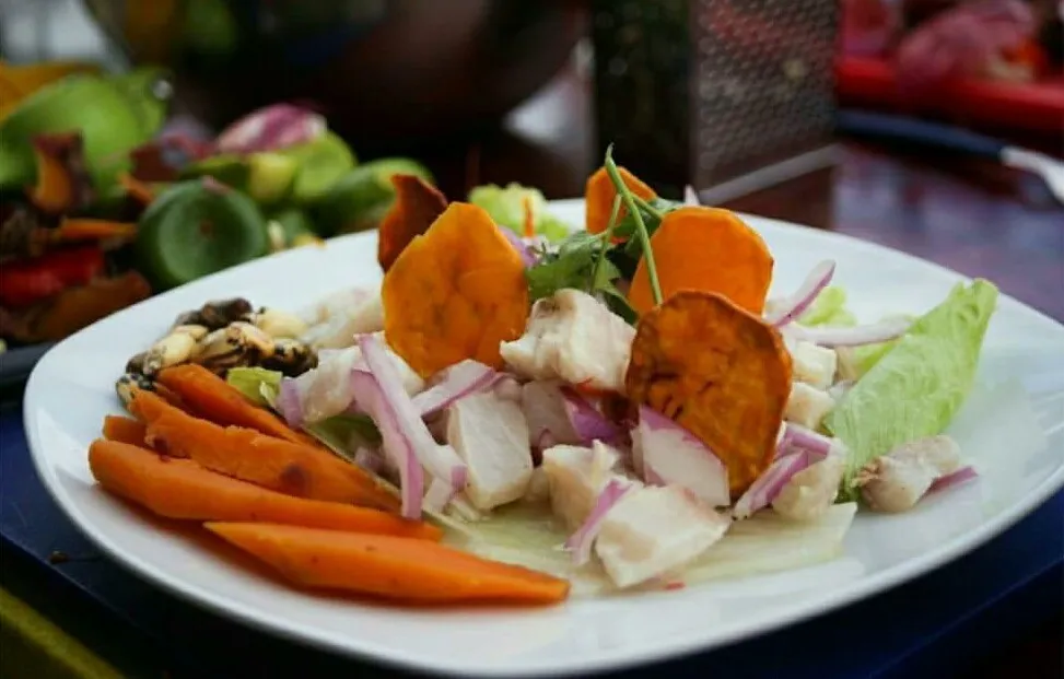 peru ceviche raw white river fish lemon citric citrus typical peruvian tasty south america food travel guide blog