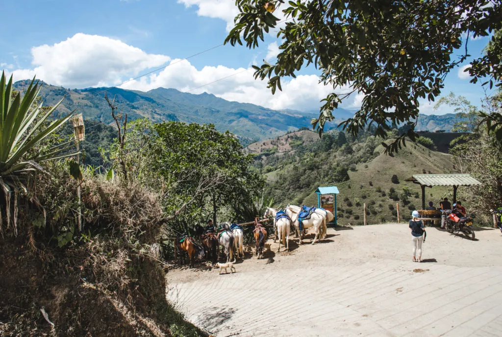 Horse tours in Salento Filandia Filandia, Colombia or Salento? Las Acasias coffee farm tour in Colombia's coffee region pueblos; what to do in Filandia, colombia