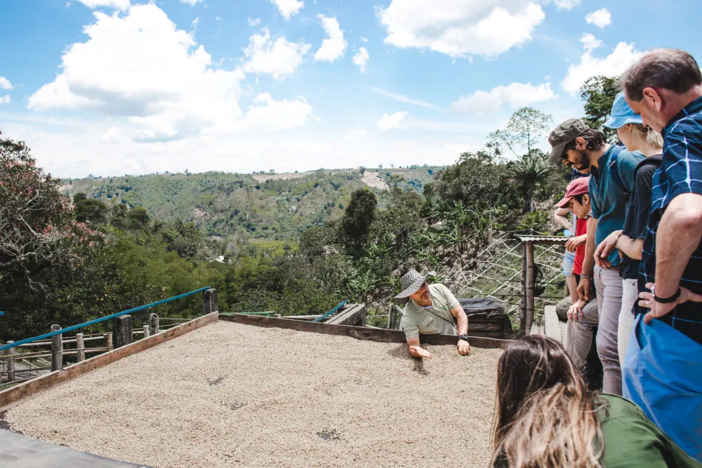 Filandia, Colombia or Salento? Las Acasias coffee farm tour in Colombia's coffee region pueblos; what to do in Filandia, colombia