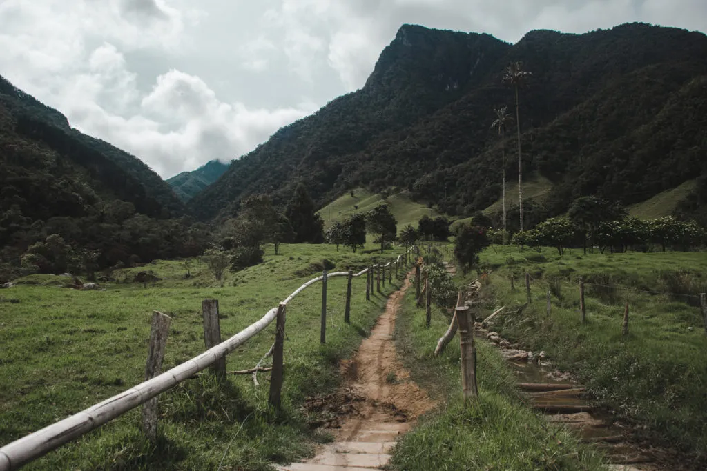 Routes to Hike Cocora Valley Salento COlombia to see tallest wax palm trees in the world | South America trip | Colombia travel blog by Cuppa to Copa Travels
