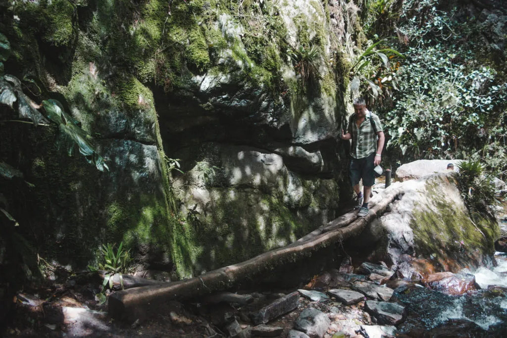 Routes to Hike Cocora Valley Salento COlombia to see tallest wax palm trees in the world | South America trip | Colombia travel blog by Cuppa to Copa Travels