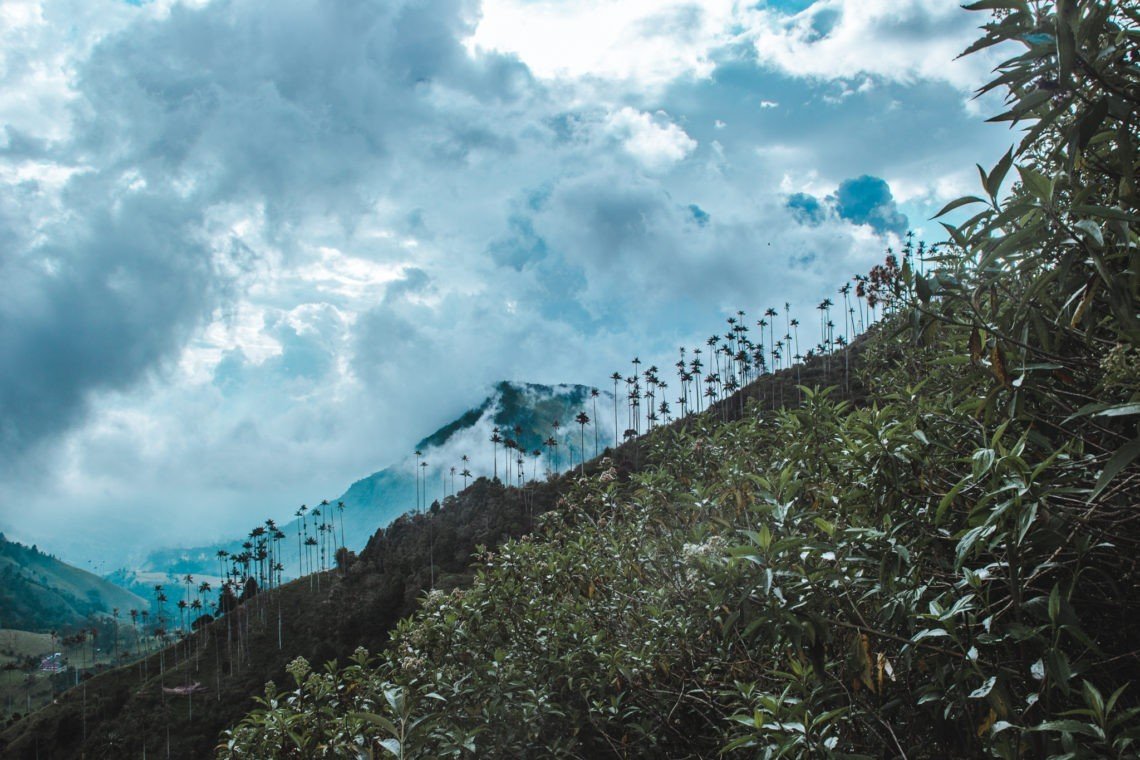 Cocora Valley: How to not hike the wrong mountain!