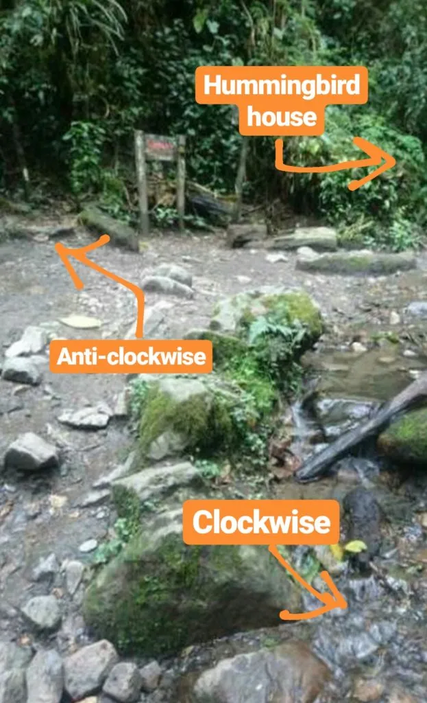 Mistake on the Cocora Valley Hike Colombia - Do not hike up the wrong mountain! | Valle de Cocora palm trees hiking routes | Salento Colo,bia travel guide by Cuppa to Copa Travels