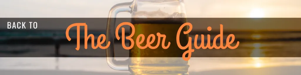 Beer in South America | The Beer Guide | Travel guides by Cuppa to Copa Travels