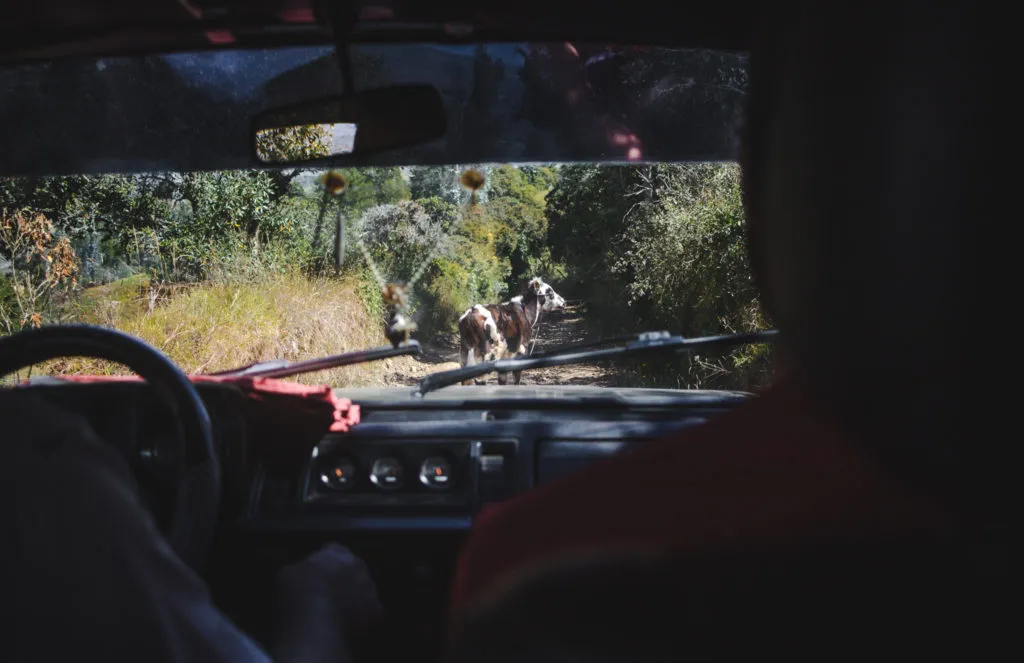 How to get to cascada La Chorrera and Choachí | Colombia travel 