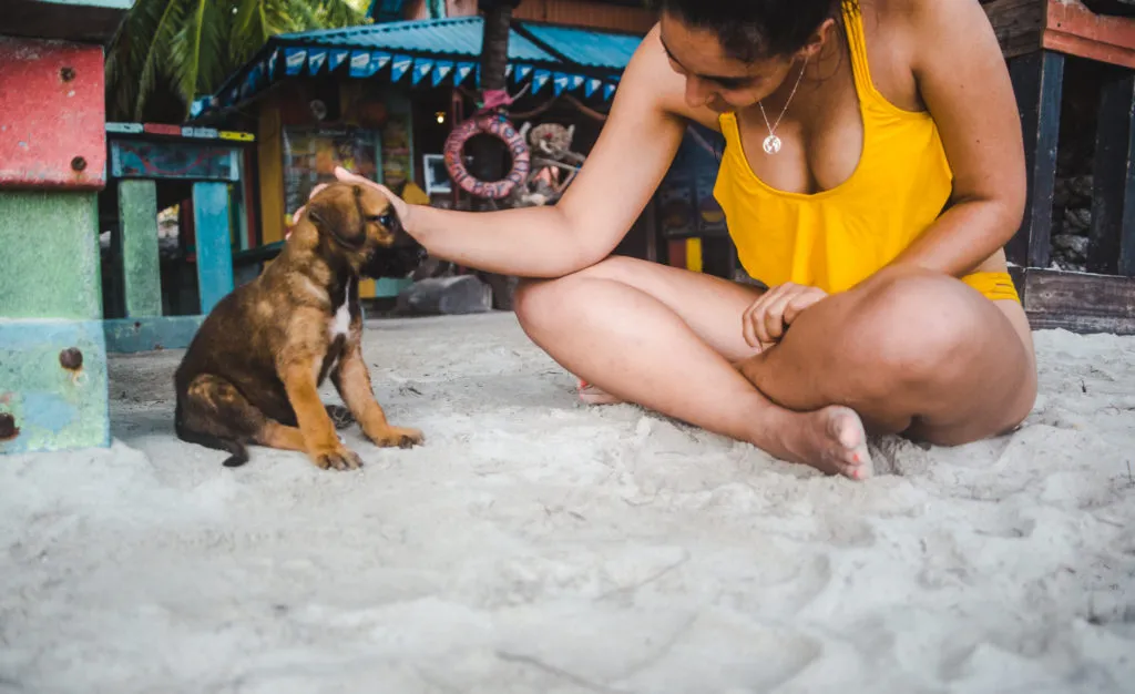 Beach hopping on Providence Island in a golf buggy | Isla de Providencia | Colombia travel guide by Cuppa to Copa Travels Roland's reggae beach bar Manzanillo