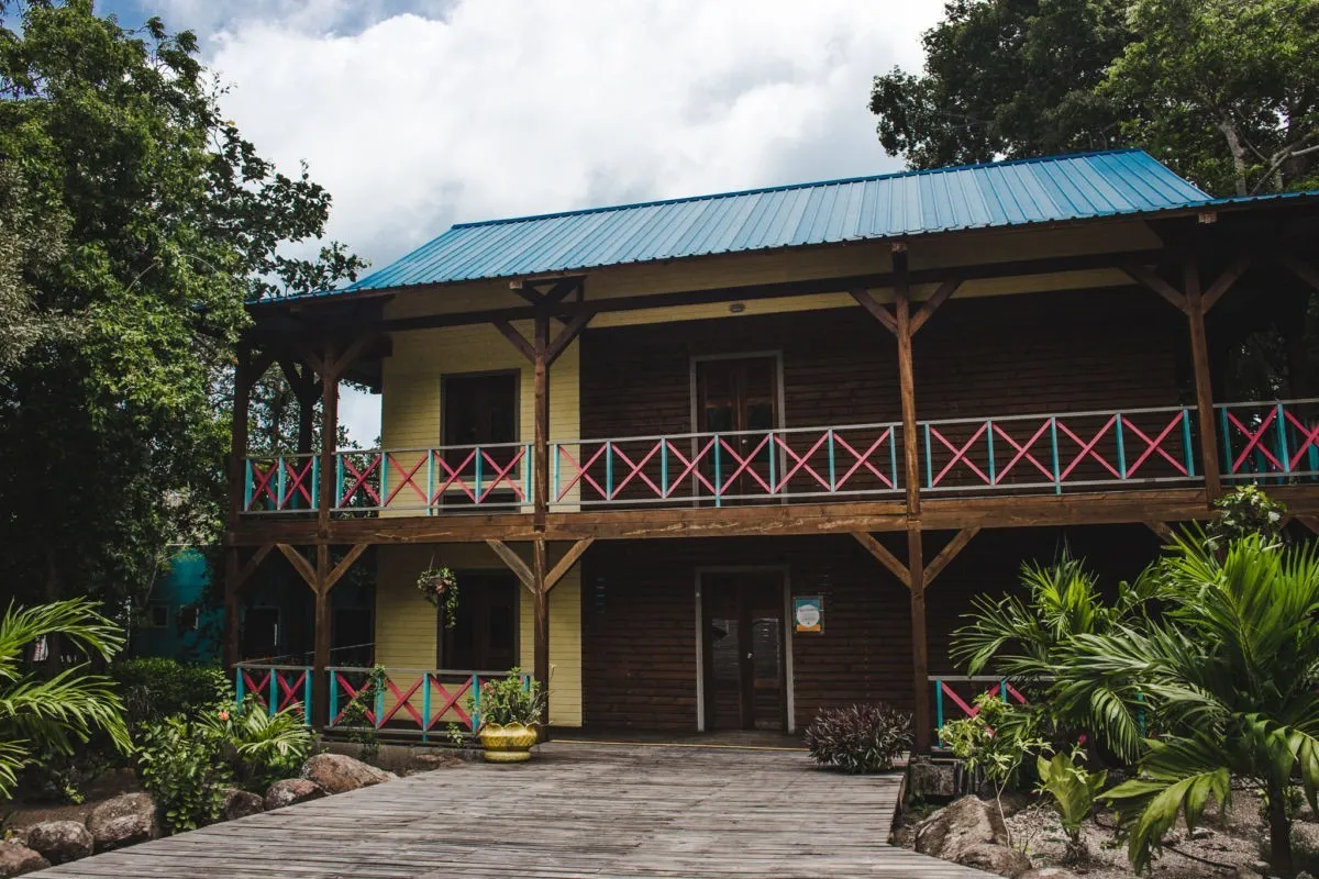 Cotton tree spa providencia island colombia