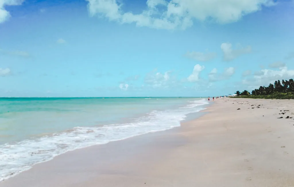 Maragogi vs Porto de Galinhas Brazil travel guide beach north-east