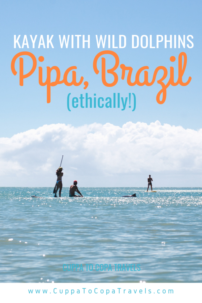 SUP Kayak with wild dolphins pipa brazil beaches ethical