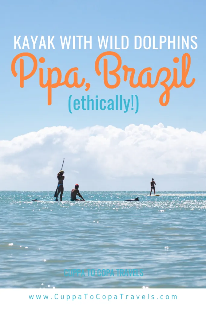 SUP Kayak with wild dolphins pipa brazil beaches ethical