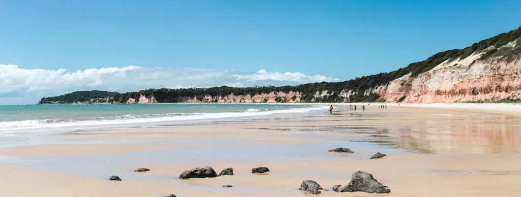 Kayak with wild dolphins pipa brazil beaches ethics praia dos golfinhos