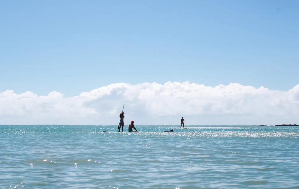 SUP Kayak with wild dolphins pipa brazil beaches