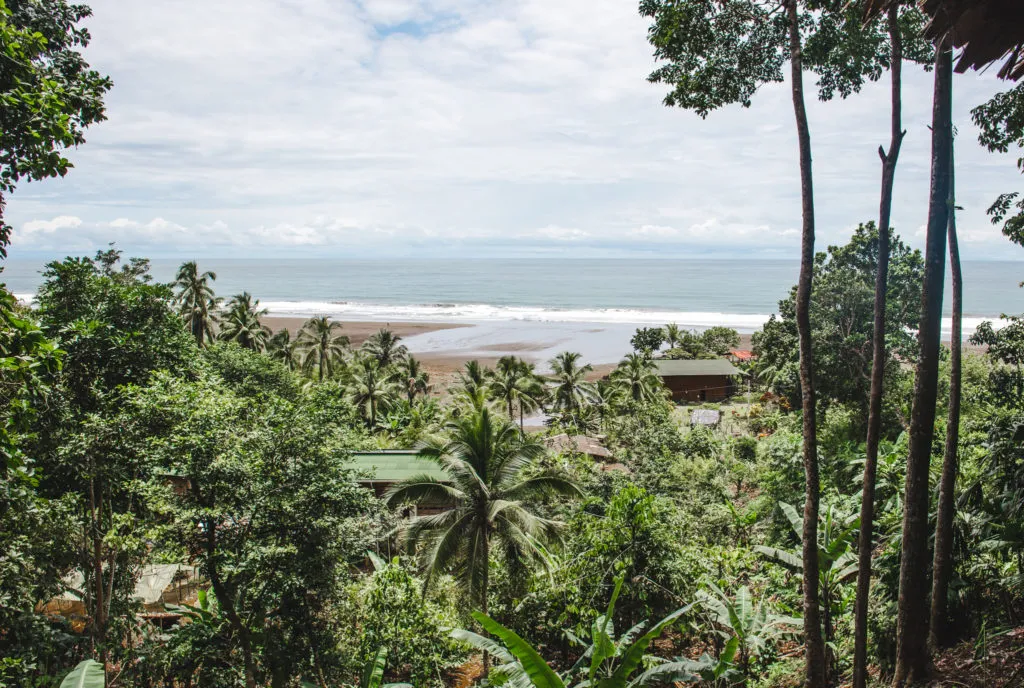 pelican house hostel el valle colombia 