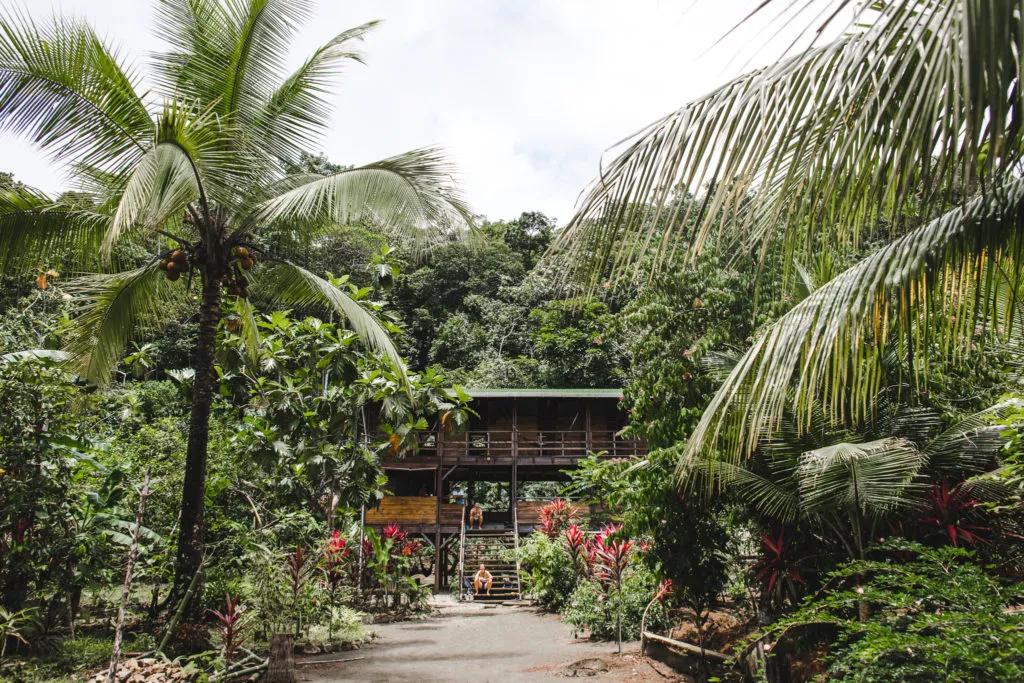 pelican house hostel el valle colombia 