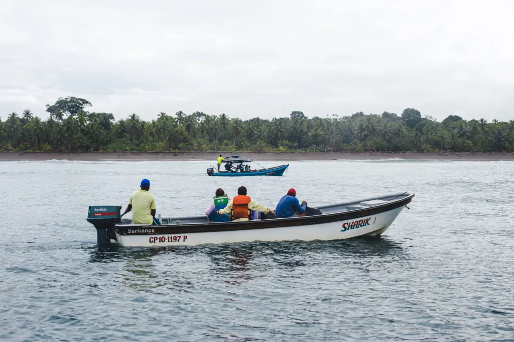ethical Humpback el valle whale tours choco colombia whale watching boat