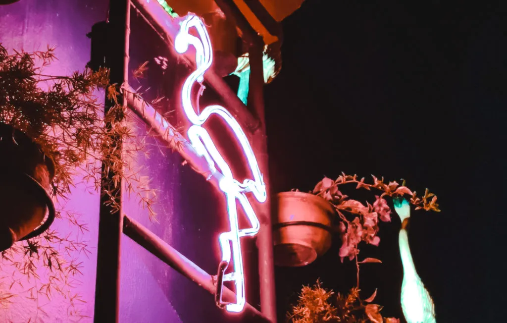 la jugada club house rooftop flamingo best bars in Cartagena