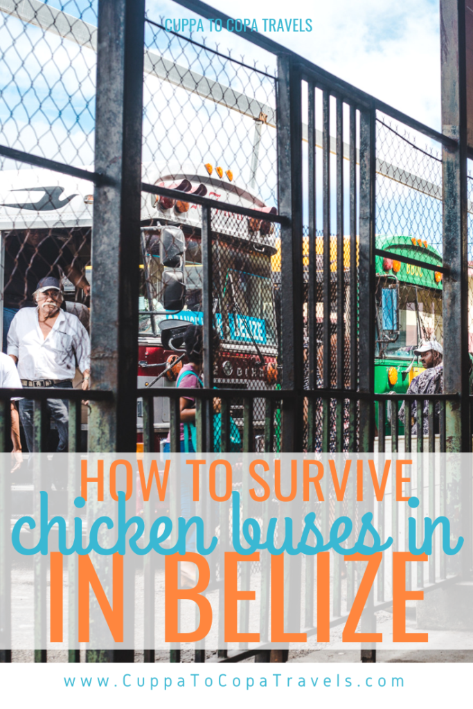 How to survive chicken buses in Belize: safety and staying comfortable bus travel