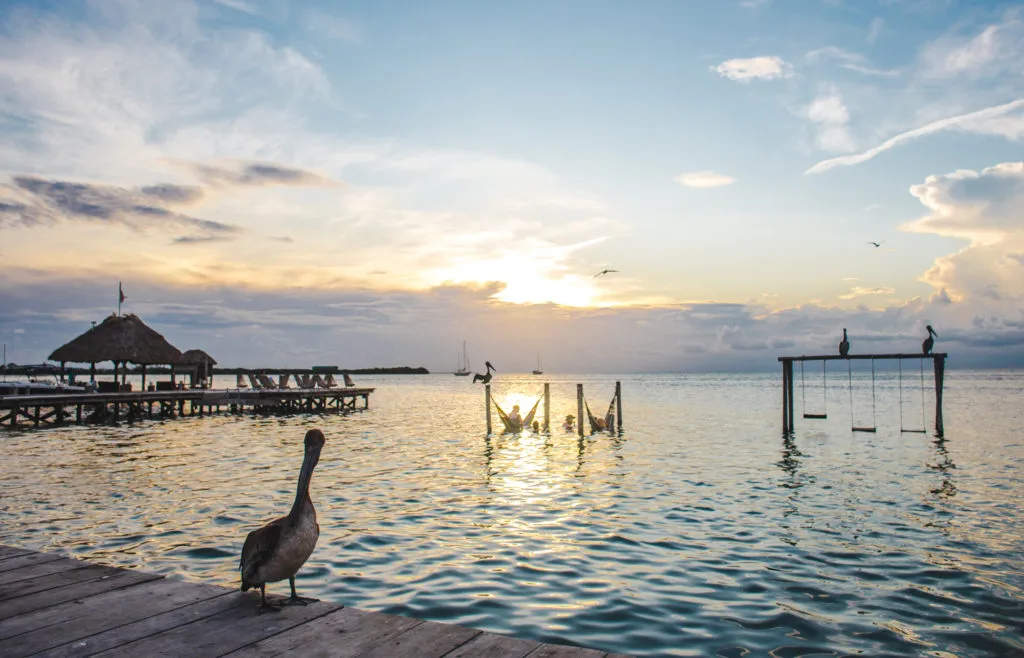 Lazy Lizard Iguana Reef sunset Caye Caulker Tips for travel in Belize: advice before you go to Central America