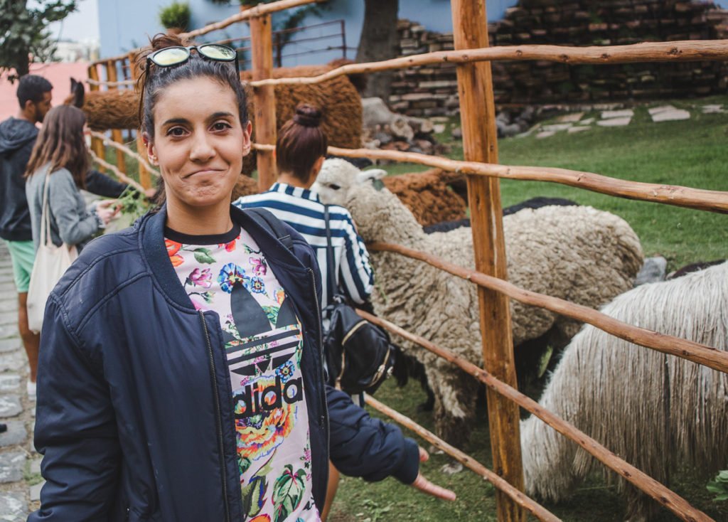 Easy spanish phrases to make you sound better at language learning that you actually are