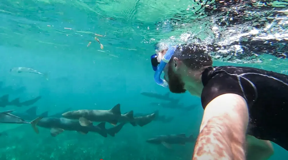 things to do on caye caulker belize snorkel reef