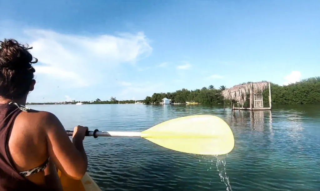 kayak the island: things to do on caye caulker belize