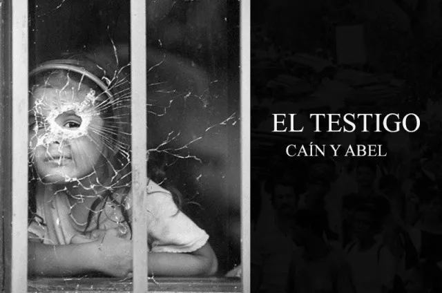 best colombian tv shows films el testigo netfliX