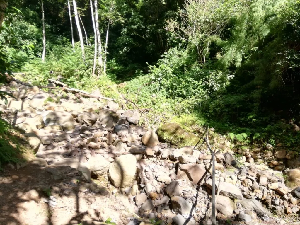 Rocky trail on the hike to san ramon waterfall isla de ometepe nicaragua