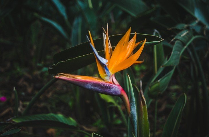 top things to do in Medellin colombia