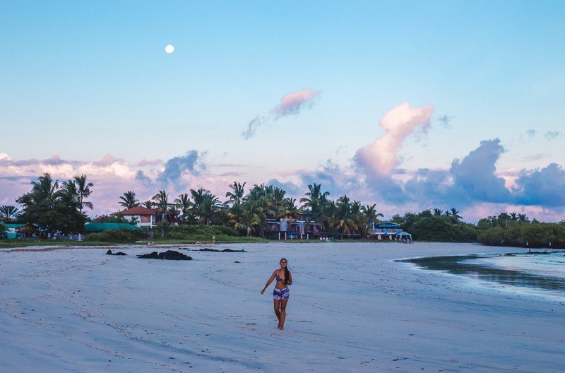 backpacking in south america food gringo trail transport visas money