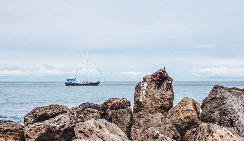 galapagos islands beagle sailboat ecuador backpacking