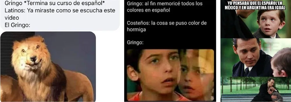 spanish memes for gringos: best way to learn spanish for adults
