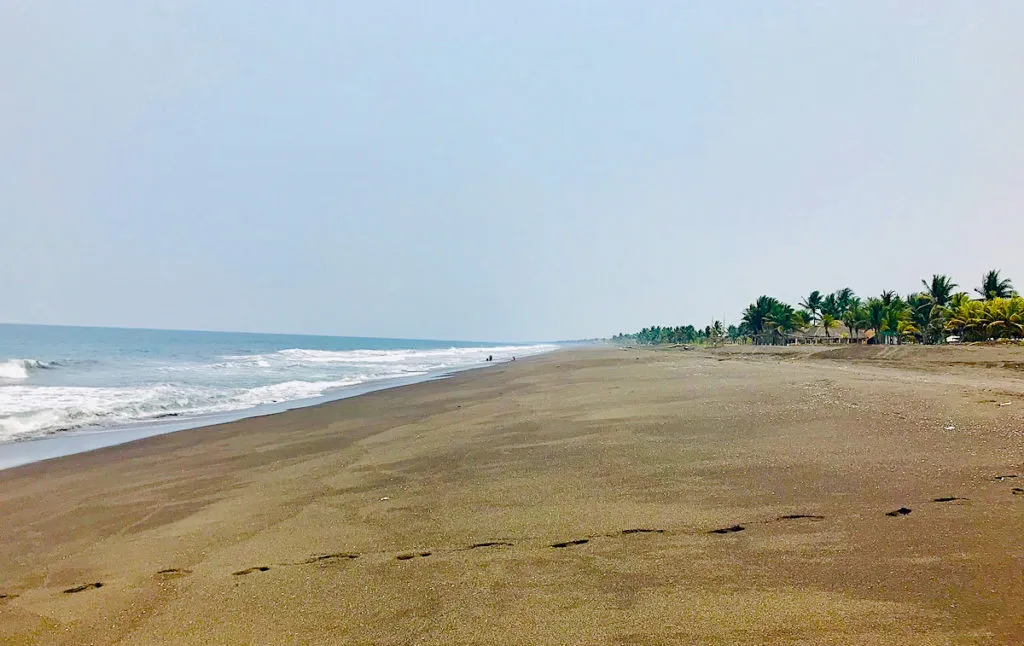 best central american beaches: guatemala monterrico
