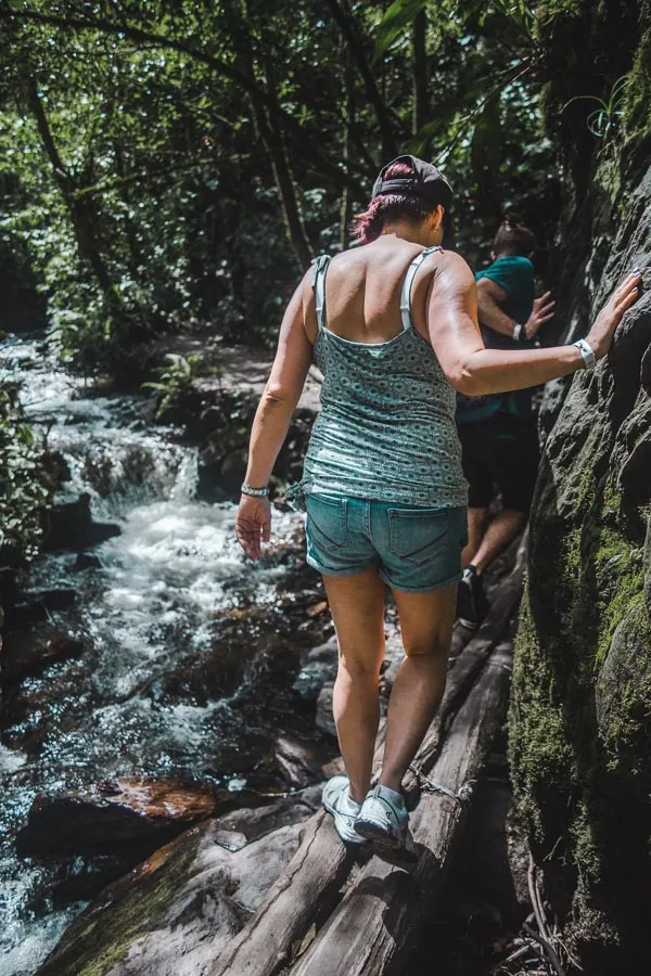 hiking colombia in salento: palm trees in Valle de cocora