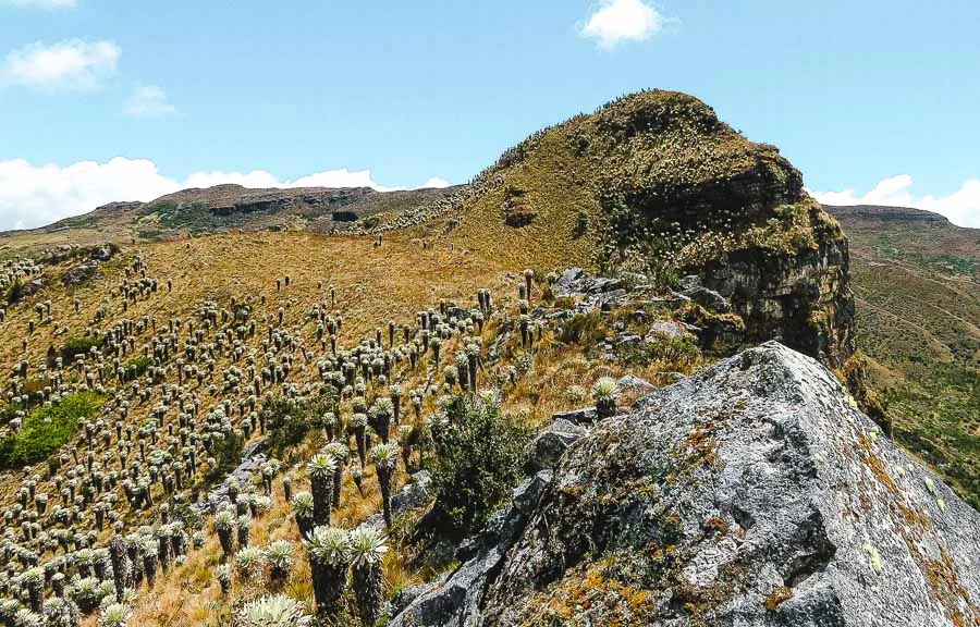 hiking colombia mongui hike paramo de oceta