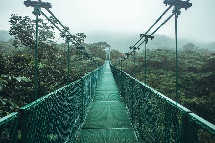 monteverde hanging bridges over the cloud forest in costa rica