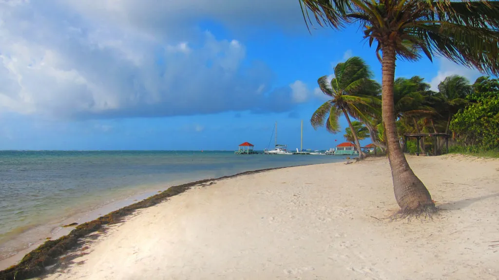 ambergris belize best central american beaches