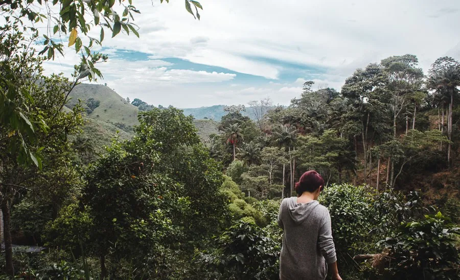 salento coffee tours colombia fincas review momota